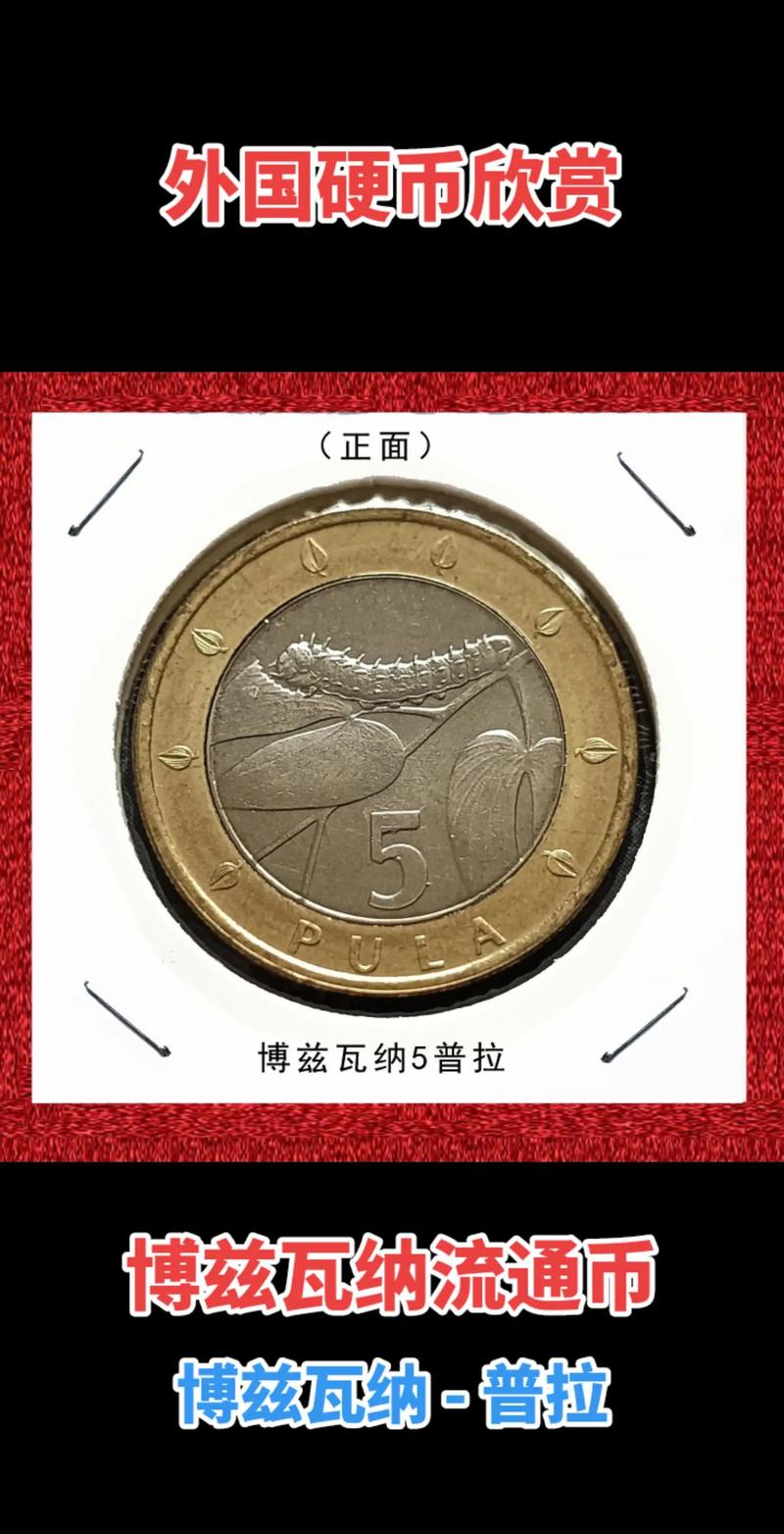 索拉纳币什么时候发行的的简单介绍