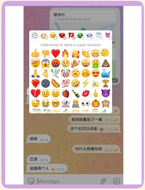 关于tg聊天软件全称的信息