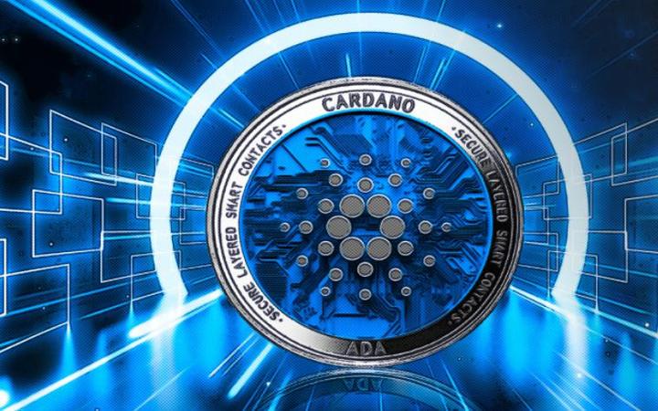 卡尔达诺币怎么样?_卡尔达诺cardano项目