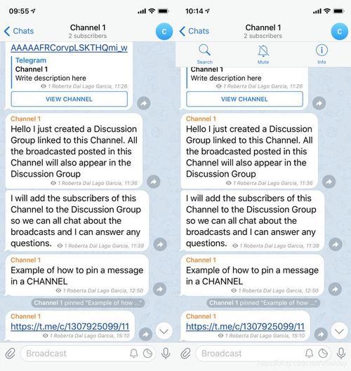 telegraph翻译成中文版_telegreat怎么翻译成中文版