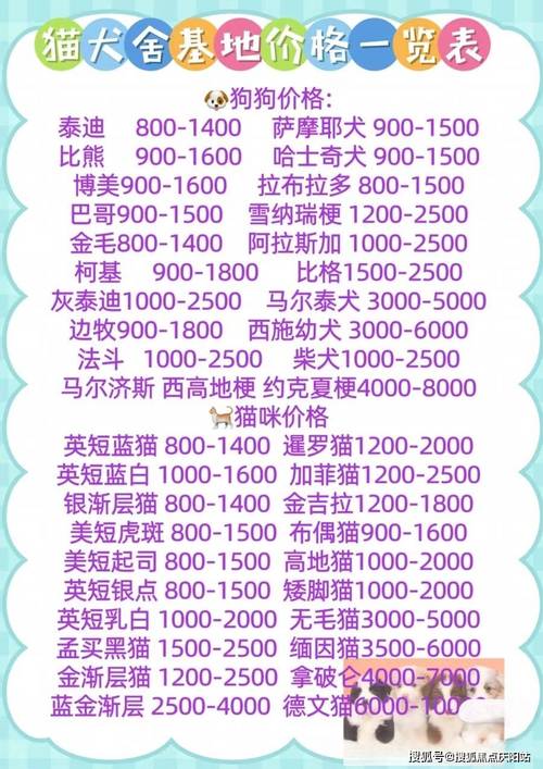 狗狗币最新价格多少美元_狗狗币价格最新价格表美元
