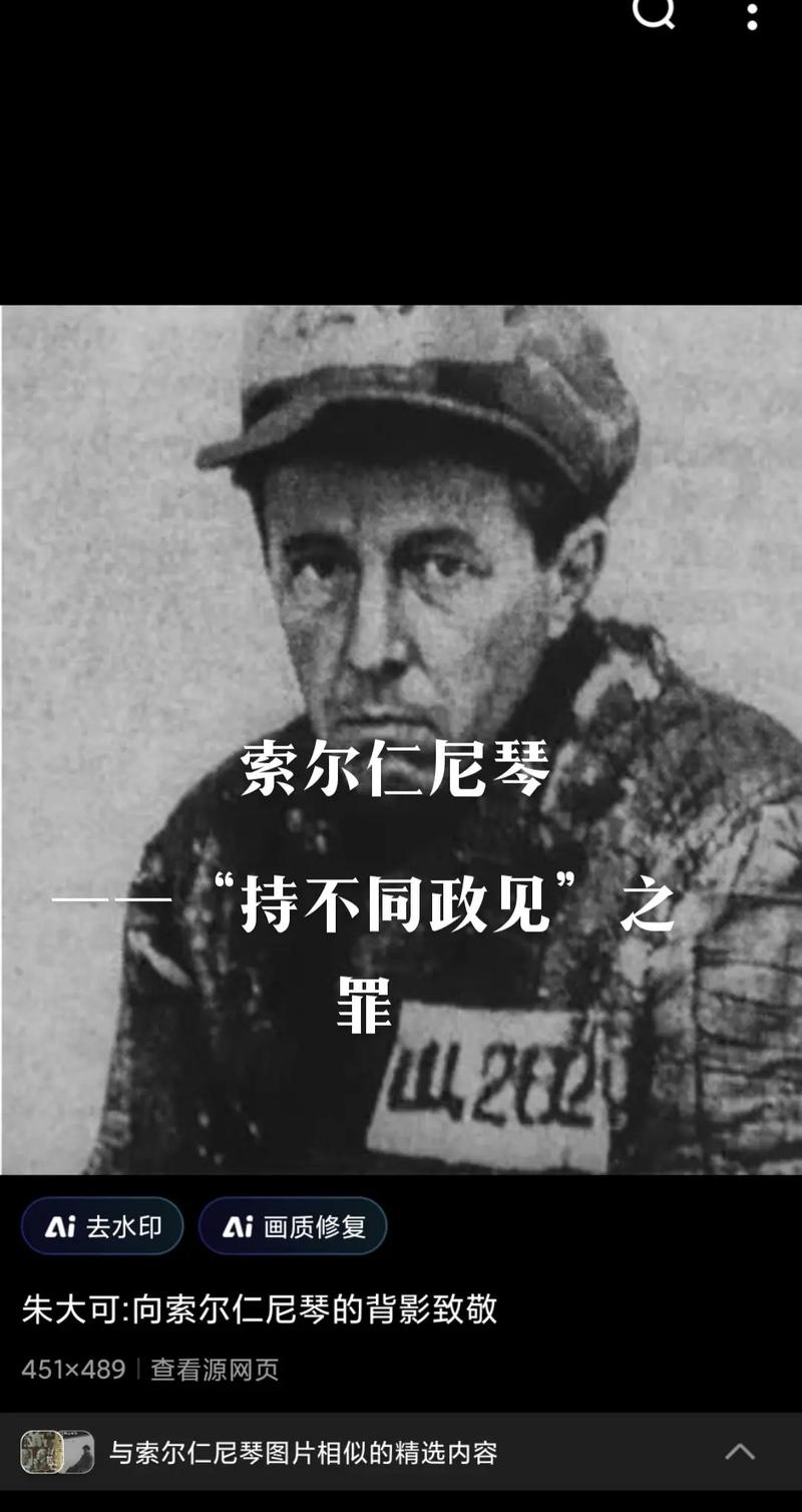索尔尼仁琴_索尔尼仁琴什么梗