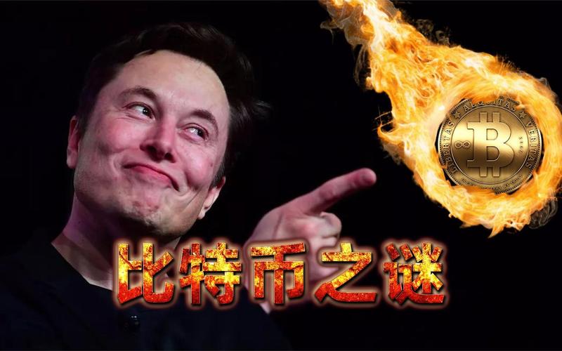 关于马斯克承认售出10%比特币的信息