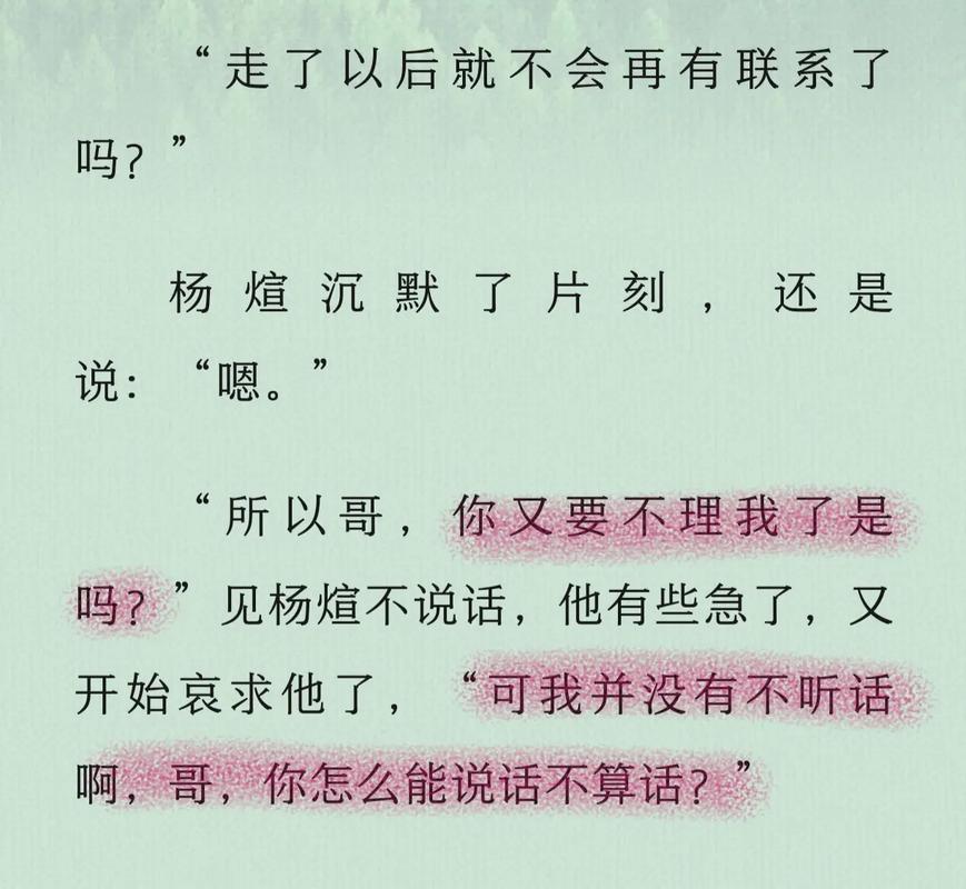 纸飞机小说在线观看_纸飞机小说免费未删减