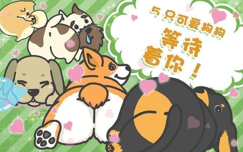 特狗下载的视频在哪个文件夹的简单介绍