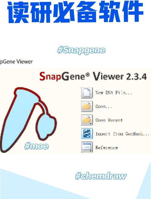 snapchat图标讲解_snapchat app filter for photos