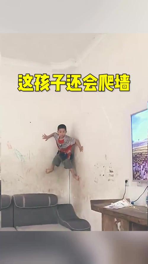 个人爬墙到底违不违法_个人爬墙到底违不违法呢