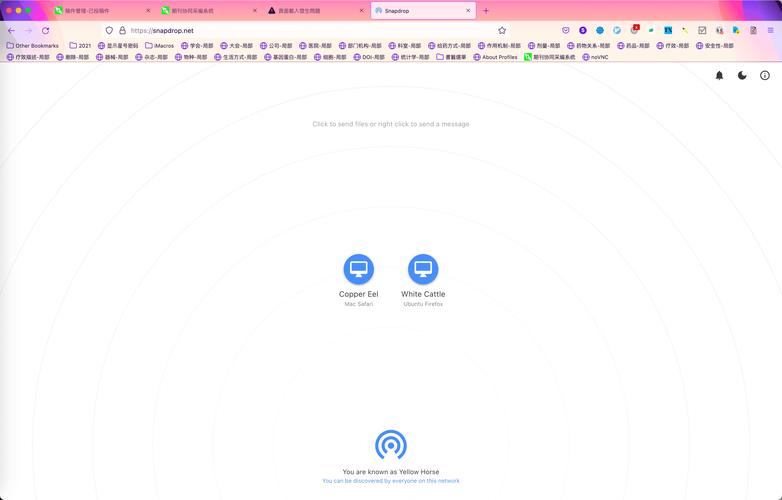 snapdrop.net_snapdropnet传送照片