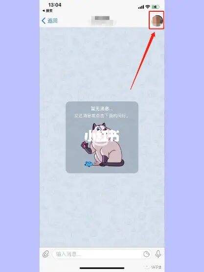 [telegram会被网警查吗]中国警察查到了telegram