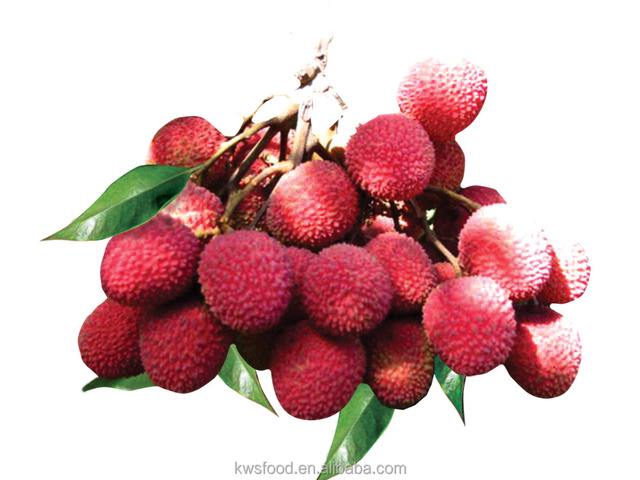 [fruit词组]fruit的词组