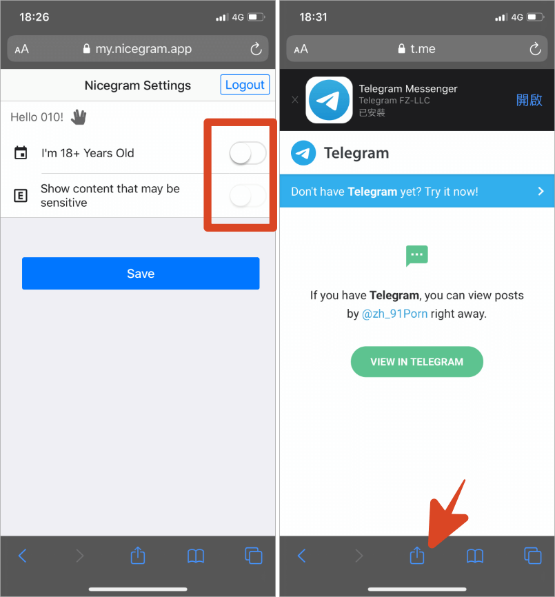 关于telegram汉语ios的信息