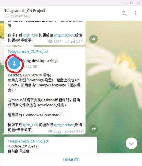 [telegram登录一直转圈]telegram一直转圈进不去