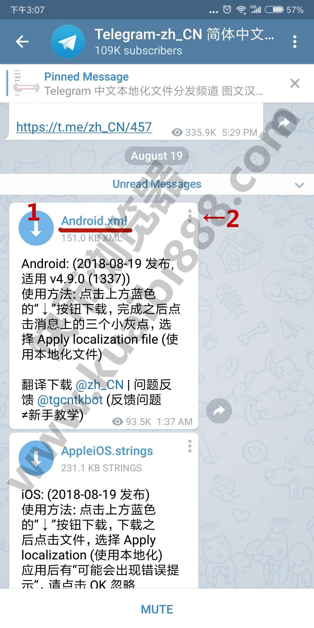 关于telegeram中文汉化的信息