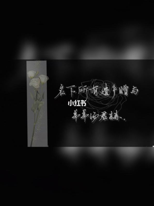 [纸飞机潭石]纸飞机潭石网盘