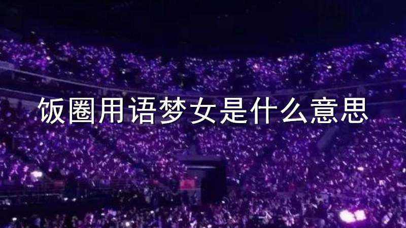[饭圈用语line什么意思]饭圈用语line什么意思啊