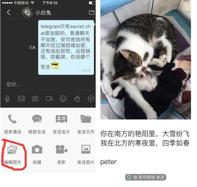 [Telegraphapk]telegraph下载中文版