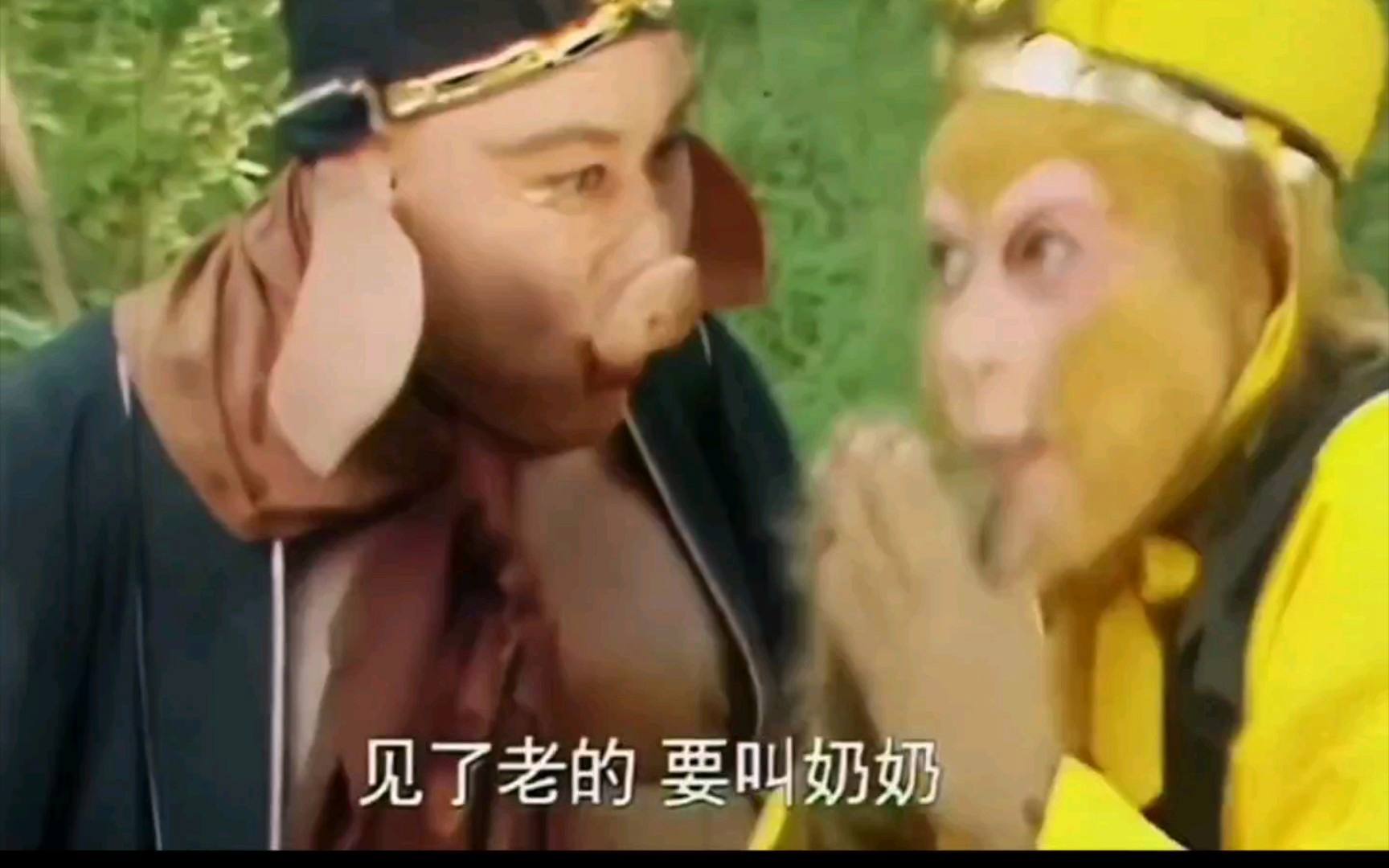 [电报猴表情包]电报猴表情包gif