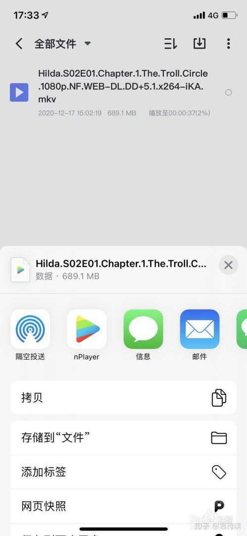 [苹果手机怎么下载中文版飞机]苹果手机怎么下载中文版纸飞机