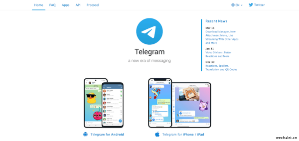 包含telegram视频的词条