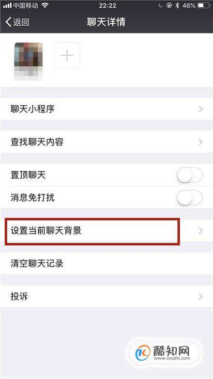 苹果手机飞机聊天软件怎么设置中文的简单介绍