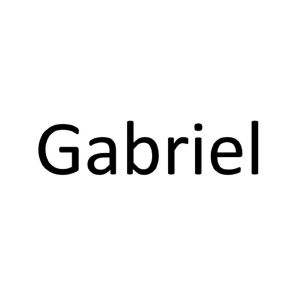[Cabriel]gabriel是什么牌子的