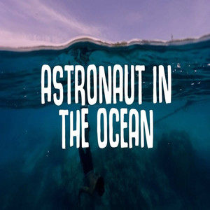 [astronautintheocean歌词翻译]astronaut in the ocean中文歌词