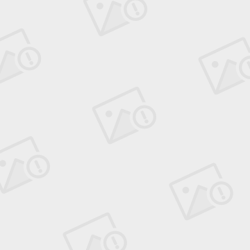 [纸飞机中文版ch_zh]纸飞机中文版怎么设置汉化