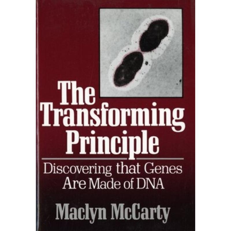 [principle]principle英语