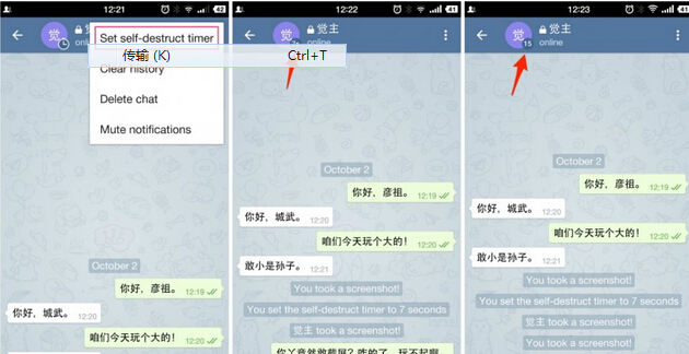 [Telegram聊天界面]Telegram聊天中文版