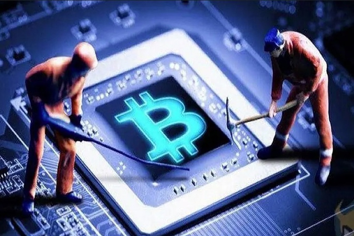 [碳中和币]碳中和币资金盘传销