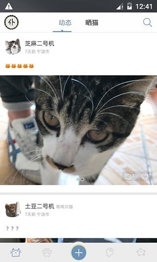 [猫咪社区官网址一]猫咪社区官方官网网页版