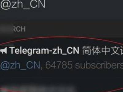 飞机怎么设置中文语言-飞机怎么设置中文语言教程