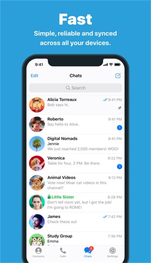 纸飞机中文版下载地址-纸飞机中文版下载app