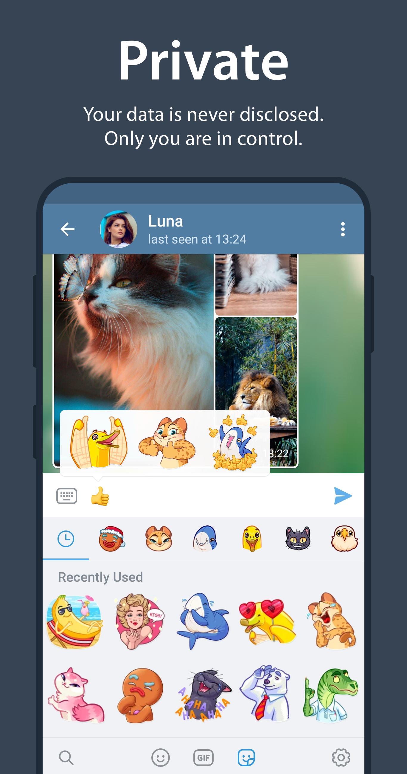 telegreat官网网址手机版-telegram official website