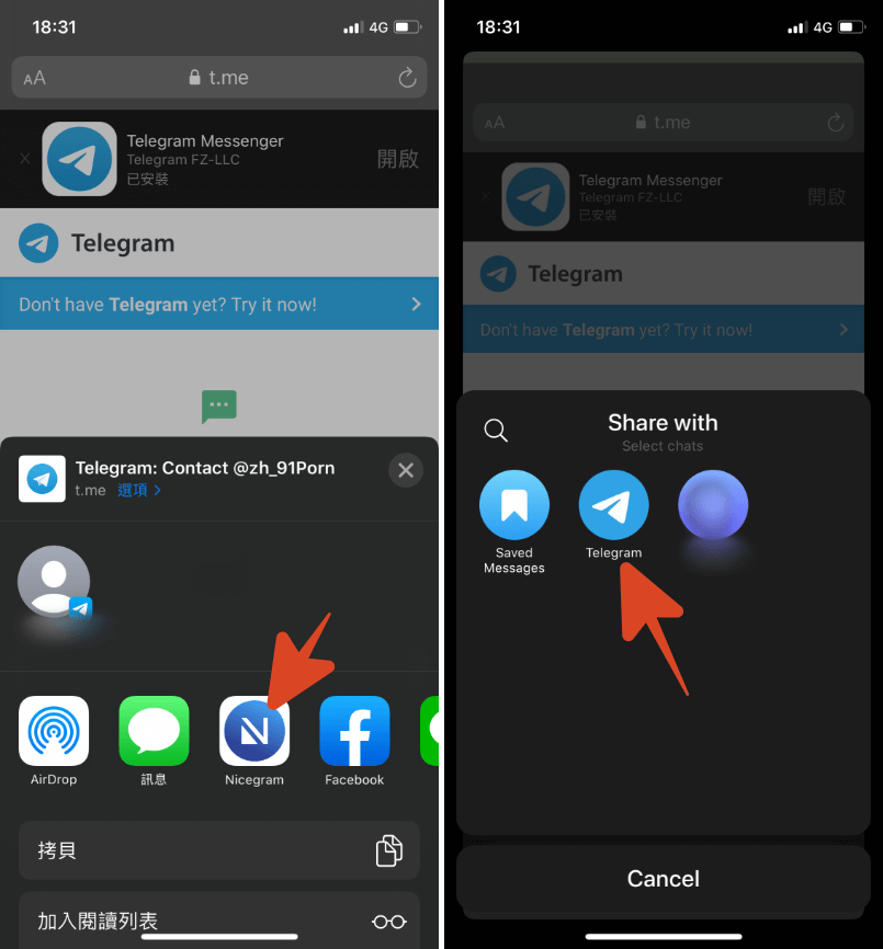 关于telegram中国ios怎么登陆的信息