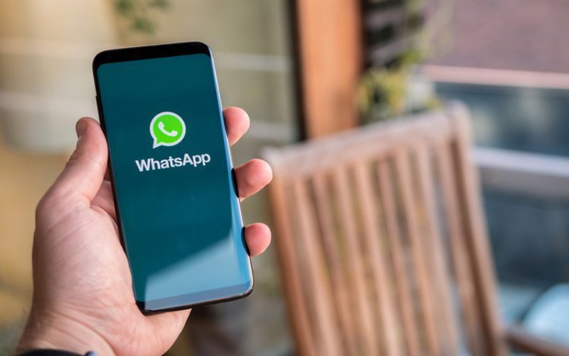 手机注册whatsapp-手机注册whatsapp为什么收不到验证码