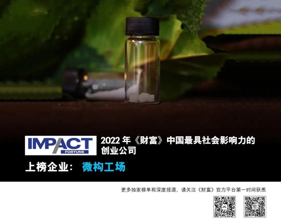下载TP钱包视频1.69的简单介绍