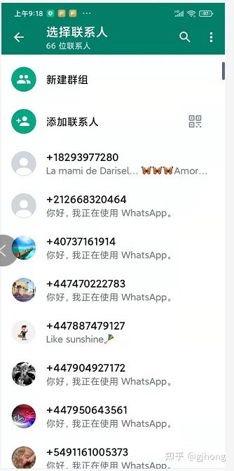 香港whatsapp怎么加好友-whatsapp香港账号购买链接