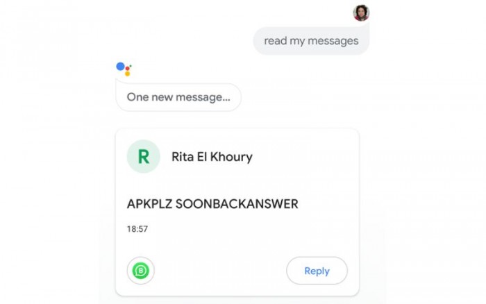 whatsapp下载后无法进入-为什么whatsapp下载了打不开