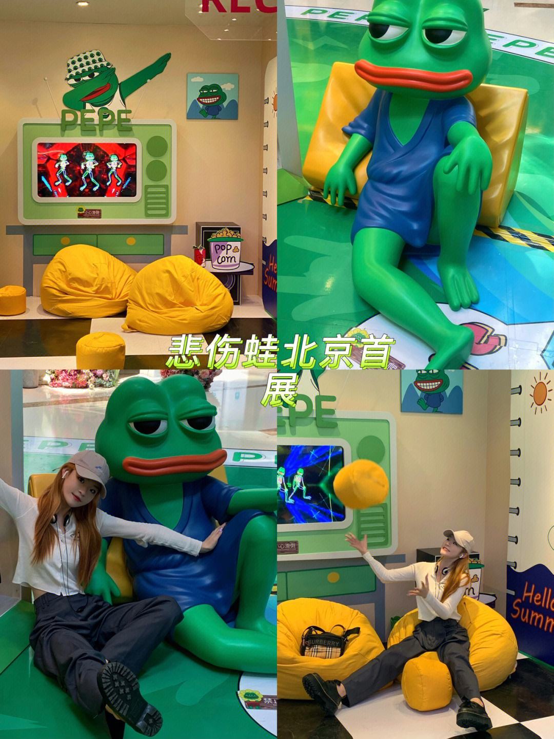 pepe实时价格-pe行情及价格行情走势