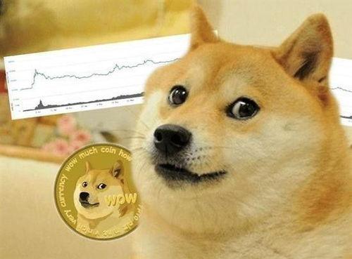 pepe币是什么意思-在币圈怎么用几千赚几十万