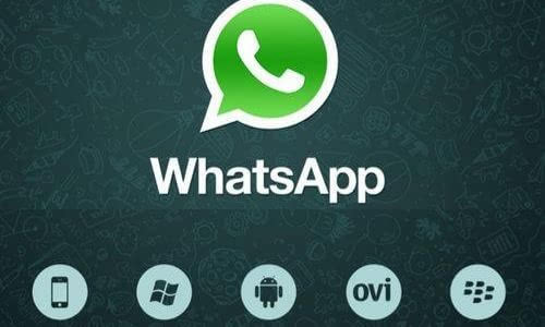 whatsapp官网安卓手机版-whatsapp官网最新下载安卓
