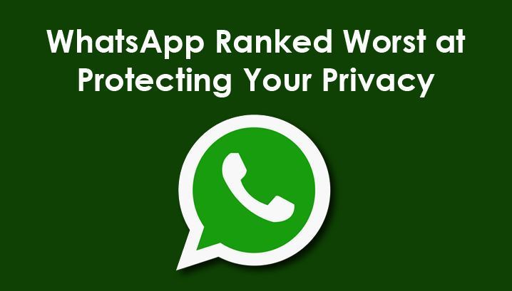 whatsapp中国手机可以用吗-whatsapp在中国能用吗安卓手机可以用吗