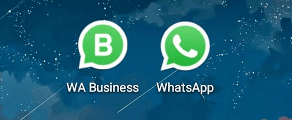 whatsapp.web-whatsapp web网页版