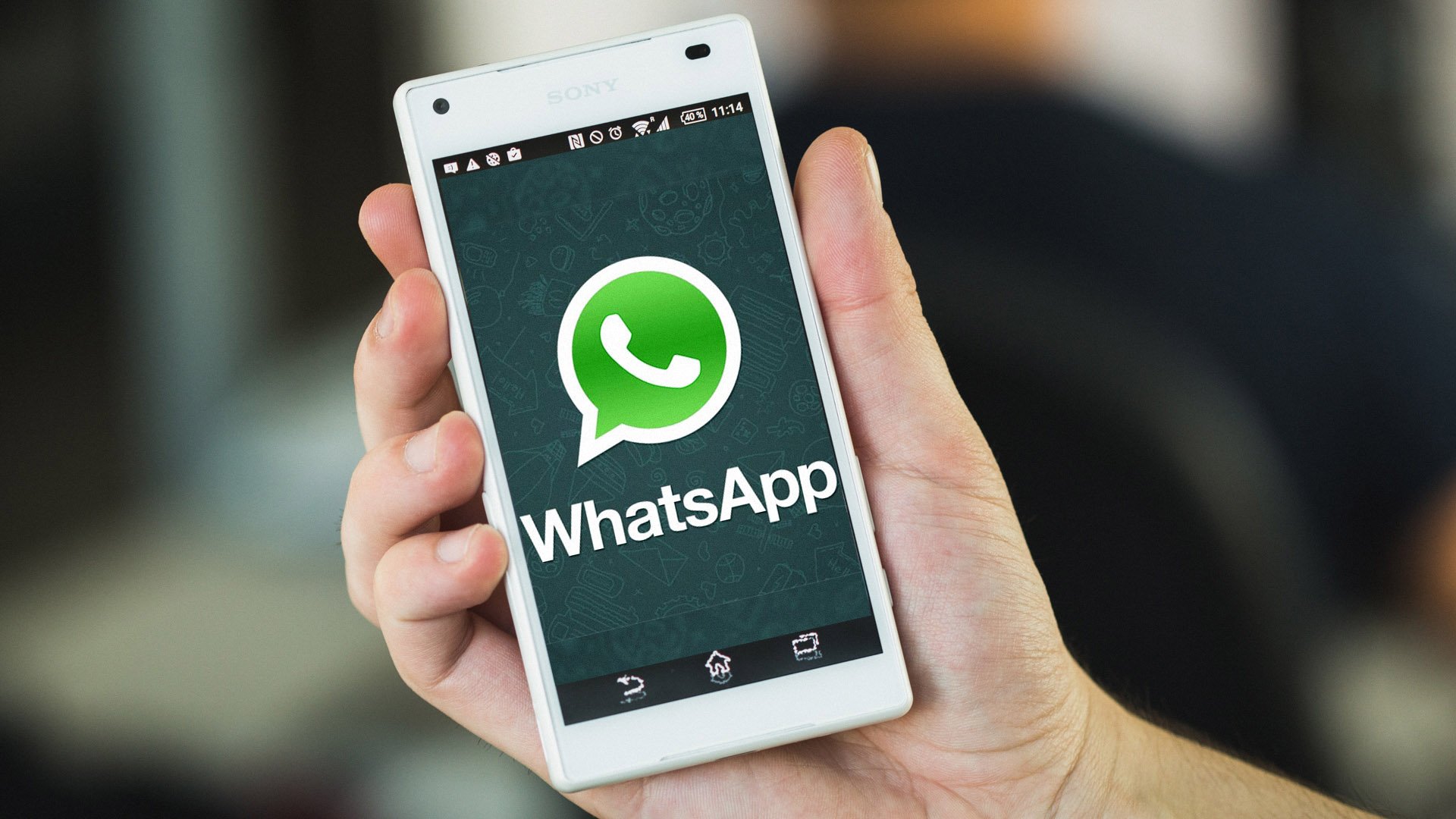 Whatsapp官网网址-whatsapp for web