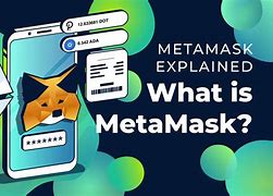 包含https://metamask.io的词条