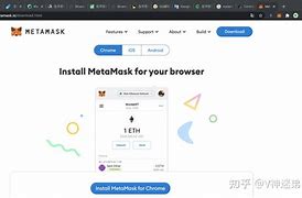 包含https://metamask.io的词条