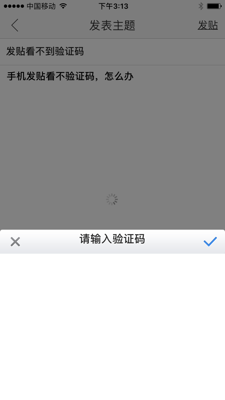 苹果手机软件验证码收不到-苹果手机软件验证码收不到怎么办