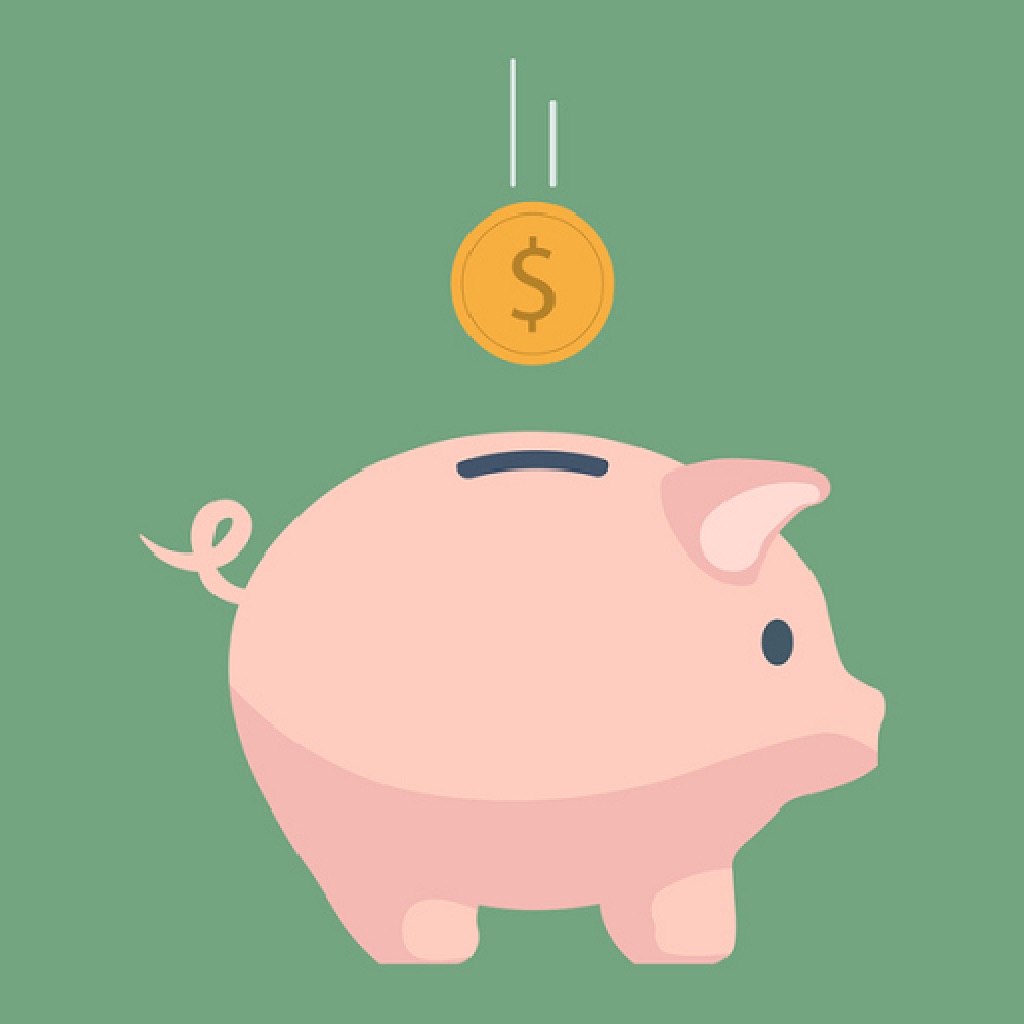 pocketmoney翻译-pocketmoney可数吗