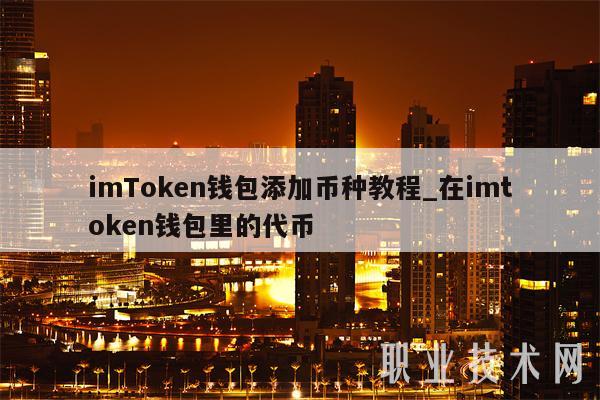 usdt代币地址-usdt代币地址符号精度